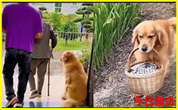 十月份去哪里旅游最好